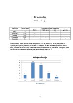 Biznesa plāns 'Biznesa plāns', 8.