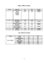 Biznesa plāns 'Biznesa plāns', 13.