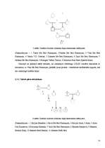 Referāts 'Šķirnes pundurpinčera ģenētisko īpašību un pazīmju pētīšana', 14.