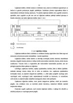 Diplomdarbs 'Starptautisku kravu pārvadājumu organizēšana', 23.