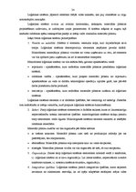 Diplomdarbs 'Starptautisku kravu pārvadājumu organizēšana', 24.