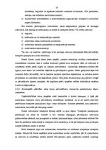 Diplomdarbs 'Starptautisku kravu pārvadājumu organizēšana', 29.