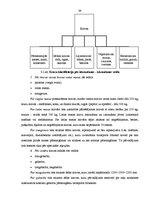 Diplomdarbs 'Starptautisku kravu pārvadājumu organizēšana', 39.