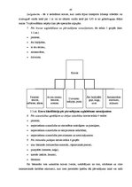 Diplomdarbs 'Starptautisku kravu pārvadājumu organizēšana', 40.