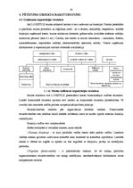 Diplomdarbs 'Starptautisku kravu pārvadājumu organizēšana', 43.