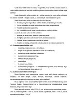 Diplomdarbs 'Starptautisku kravu pārvadājumu organizēšana', 44.