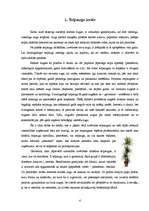 Konspekts 'Telpaugu nozīme viesmīlības atmosfēras radīšanā', 4.