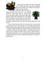 Konspekts 'Telpaugu nozīme viesmīlības atmosfēras radīšanā', 5.