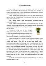 Konspekts 'Telpaugu nozīme viesmīlības atmosfēras radīšanā', 7.