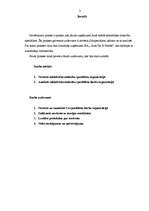 Prakses atskaite 'Novērojumu prakse organizācijā', 3.