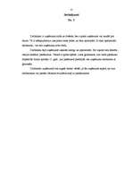 Prakses atskaite 'Novērojumu prakse organizācijā', 13.