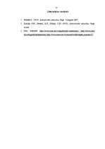 Prakses atskaite 'Novērojumu prakse organizācijā', 18.