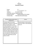 Prakses atskaite 'Novērojumu prakse organizācijā', 19.