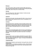 Konspekts 'Īss apraksts par katru lugas "Pērs Gints" cēlienu', 5.