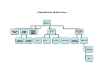 Konspekts 'Didaktika', 8.