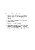 Konspekts 'Cilvēks svešumā literatūrā', 5.