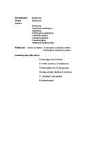 Konspekts 'Epitēlijaudi', 2.