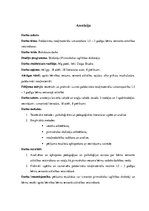 Diplomdarbs 'Pašdarinātu rotaļmateriālu izmantošana 1,5-3 gadīgu bērnu sensorās attīstības ve', 3.