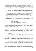 Diplomdarbs 'Pašdarinātu rotaļmateriālu izmantošana 1,5-3 gadīgu bērnu sensorās attīstības ve', 14.