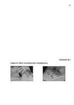 Referāts 'Trasoloģija', 39.