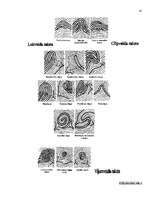 Referāts 'Trasoloģija', 41.