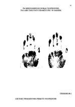 Referāts 'Trasoloģija', 43.