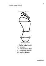 Referāts 'Trasoloģija', 47.
