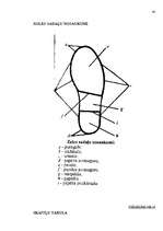Referāts 'Trasoloģija', 48.