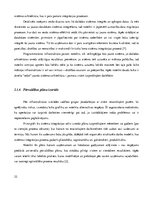 Diplomdarbs 'Jaunu IT produktu integrācijas vadlīniju izstrāde uzņēmuma infrastruktūrā', 22.