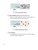 Diplomdarbs 'Jaunu IT produktu integrācijas vadlīniju izstrāde uzņēmuma infrastruktūrā', 28.