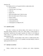 Diplomdarbs 'Jaunu IT produktu integrācijas vadlīniju izstrāde uzņēmuma infrastruktūrā', 42.