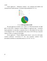 Diplomdarbs 'Jaunu IT produktu integrācijas vadlīniju izstrāde uzņēmuma infrastruktūrā', 62.