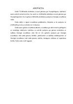 Diplomdarbs 'Cilvēktiesību ievērošana, aizturot personas par likumpārkāpumu izdarīšanu', 2.