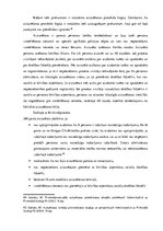 Diplomdarbs 'Cilvēktiesību ievērošana, aizturot personas par likumpārkāpumu izdarīšanu', 24.