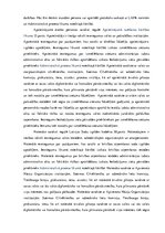 Diplomdarbs 'Cilvēktiesību ievērošana, aizturot personas par likumpārkāpumu izdarīšanu', 55.
