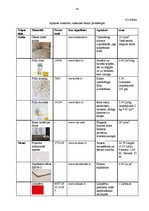 Diplomdarbs 'Pirmsskolas izglītības iestādes interjera dizaina priekšlikums', 41.