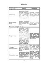 Referāts 'Izspiešana', 16.