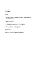 Referāts 'Džeza vēsture', 1.