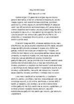 Eseja 'Atomelektrostaciju ieguvumi un riski', 1.