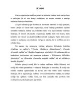 Referāts 'Vadīšanas funkcijas organizāciju sistēmā', 3.