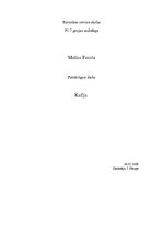 Konspekts 'Kafija un tās noslēpumi', 1.