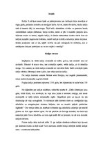 Konspekts 'Kafija un tās noslēpumi', 2.