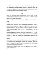 Konspekts 'Kafija un tās noslēpumi', 3.