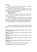 Konspekts 'Kafija un tās noslēpumi', 4.