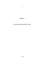 Referāts 'Politika un politiskās tehnoloģijas', 1.