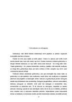 Referāts 'Globalizācija, tās būtība. Globalizācijas priekšrocības un trūkumi', 17.