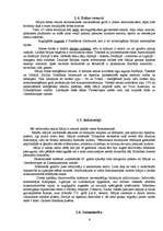 Referāts 'Itālija', 6.