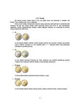 Referāts 'Itālija', 9.