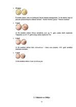 Referāts 'Itālija', 10.