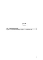 Referāts 'Brīvās ekonomiskās zonas Latvijā', 2.